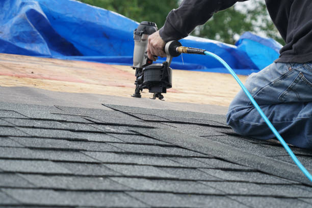 Roof Moss and Algae Removal in Kerens, TX